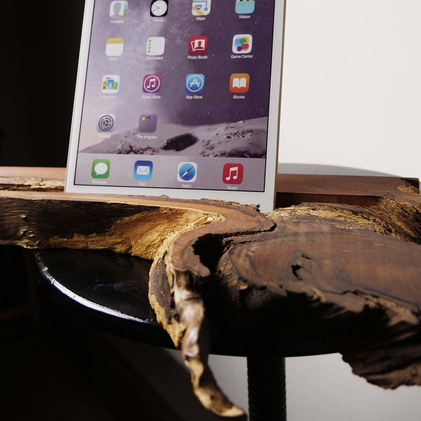 British Yew Tree iPad/tablet stand