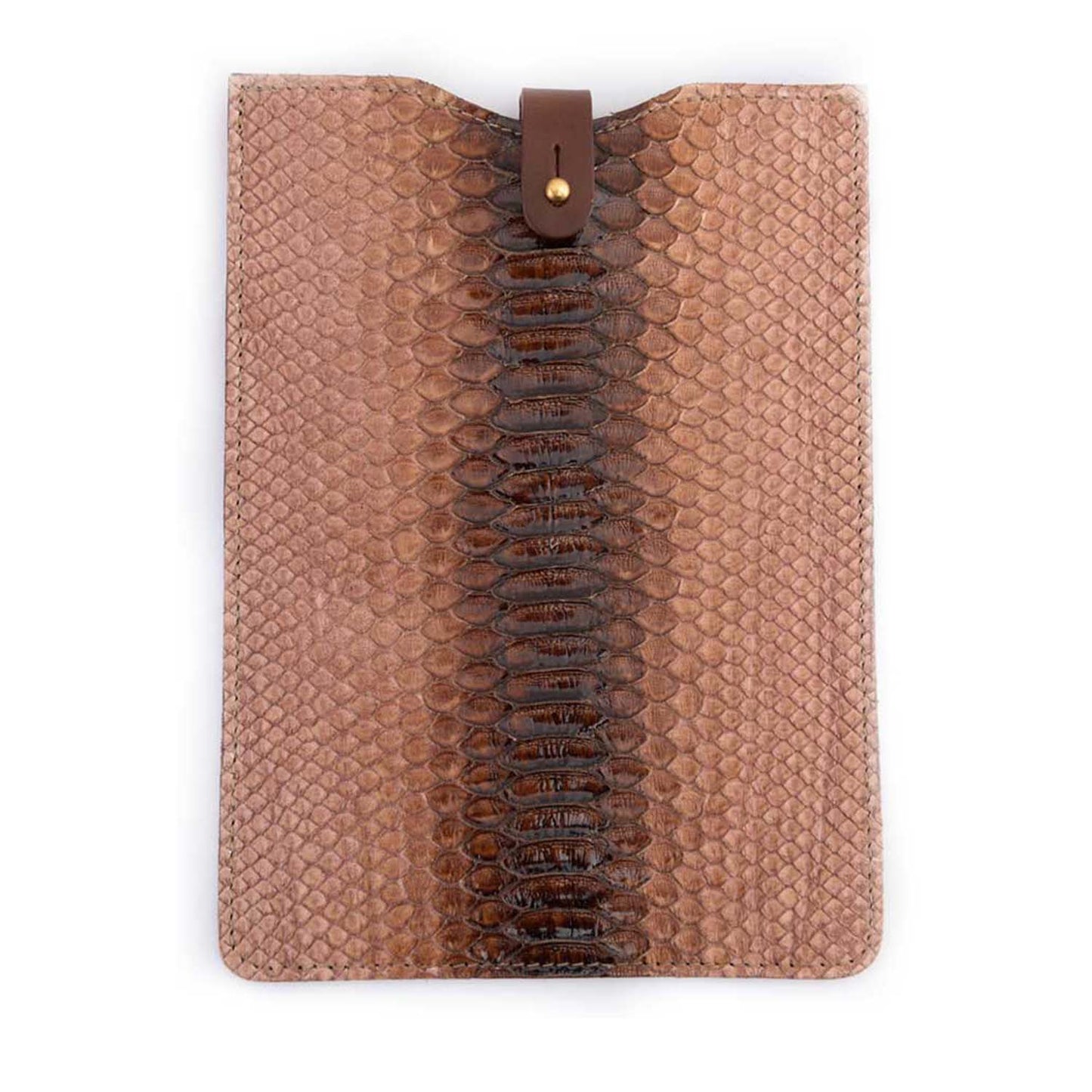 iPad Mini Python Scale