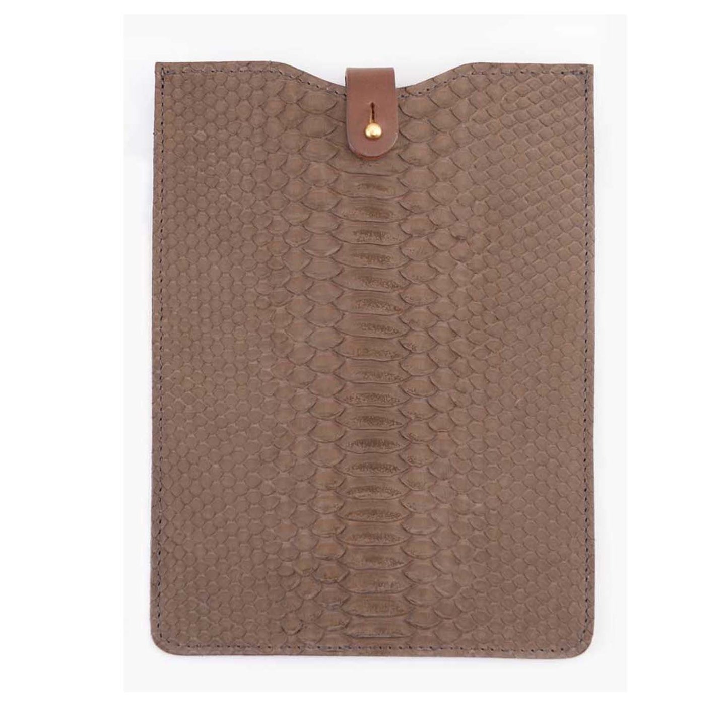 iPad Mini Brown Scale